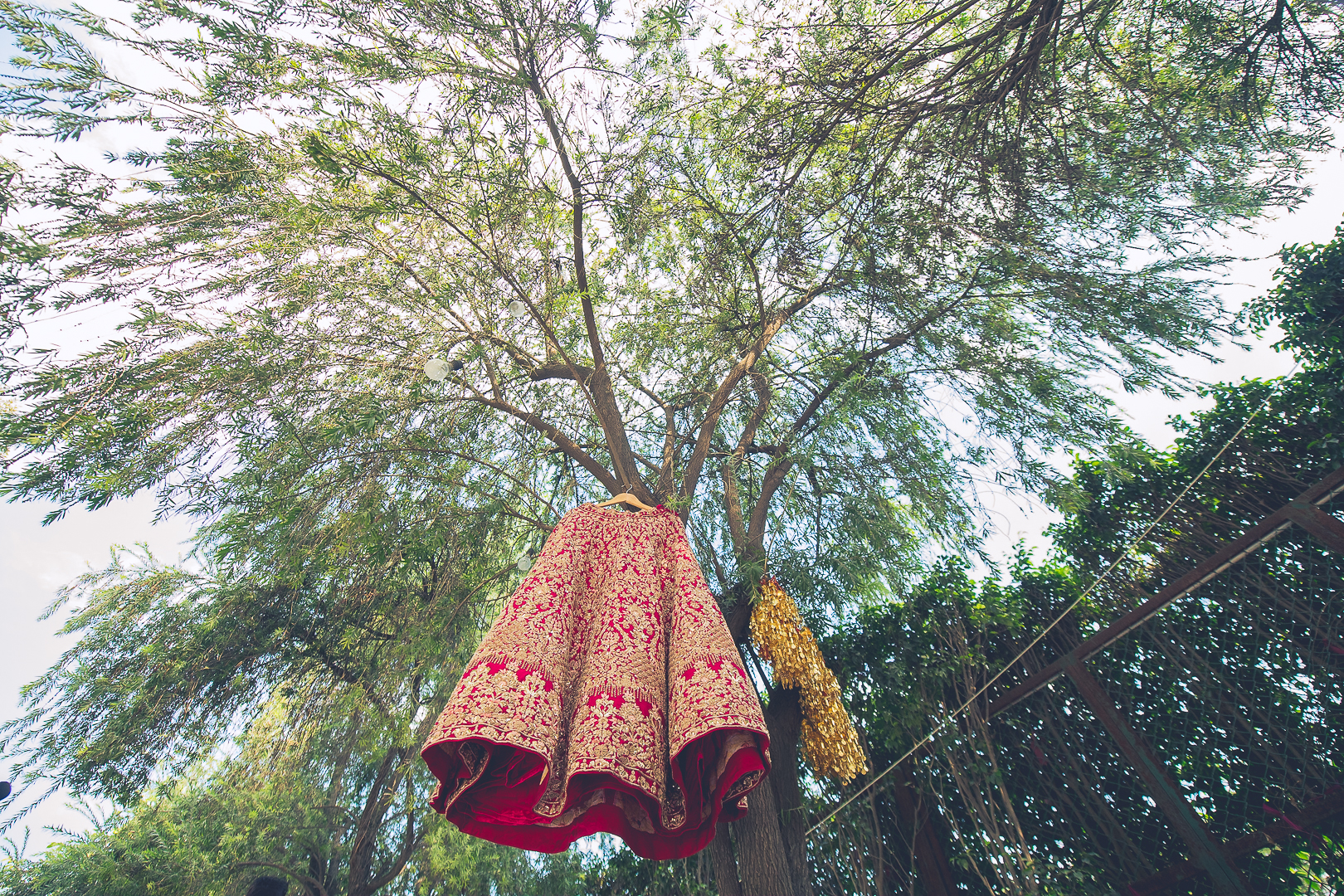 bridal lehenga hanging from a tree 